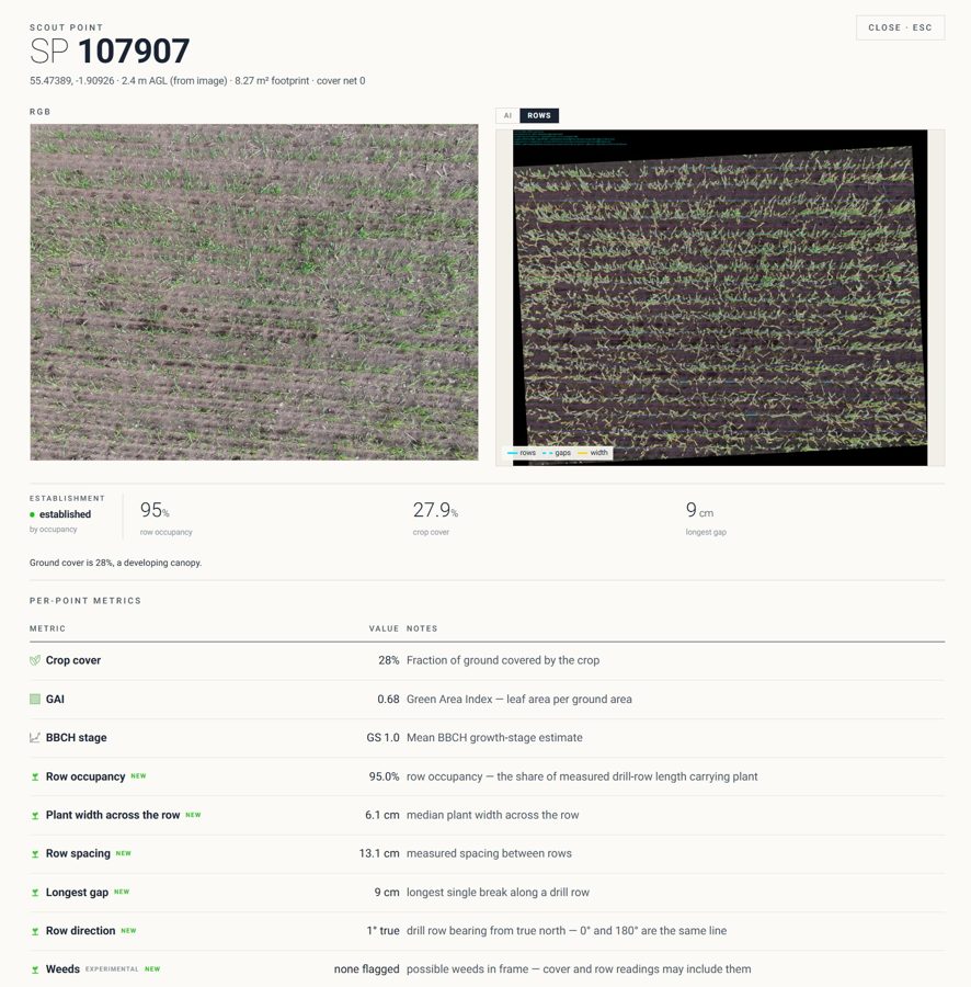 A well-established scout point with the drill rows detected