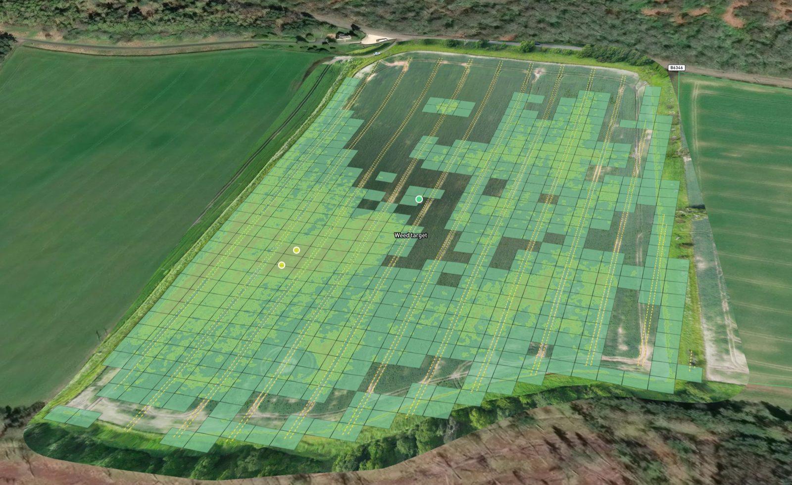 The spot-spray grid over the field, squared to the tramlines